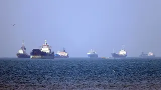 Idle ships in Hormuz could spark a global marine biosecurity crisis