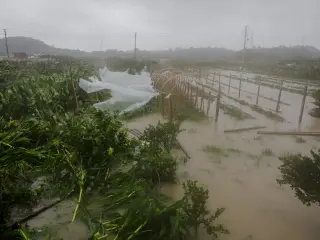 France-sized Bavi Downgrades to Tropical Storm After Lashing Eastern China