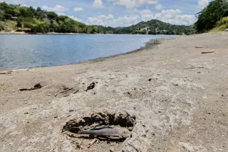 Puerto Rico battles ongoing drought, water rationing amid El Niño