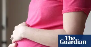Biology not driving fertility decline; economy and smartphones blamed
