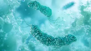 H. pylori infection linked to 22% of global colorectal cancer cases, new analysis finds