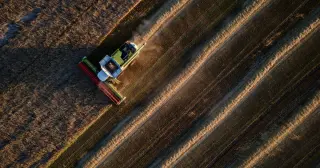 Ukraine’s grain trapped by war, drought and EU politics