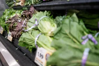 FDA identifies major brands in massive cyclospora lettuce recall