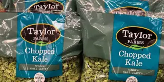 Taylor Farms Linked to Five-State Cyclospora Outbreak Prompts Lettuce Removals