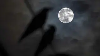 September's Harvest Moon Peaks with Saturn and Neptune in a Rare Sky Alignment