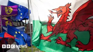 Plaid Cymru urges Burnham to commit to EU rejoin now, not at next election