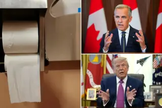 Tariffs on Canadian Fiber May Elevate US Toilet Paper Prices