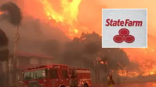 CA Regulators Say State Farm Mishandled 2025 Wildfire Claims, Could Lose License