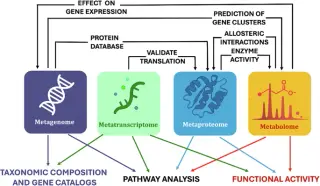 Blueprint for AI-ready, standardized multi-omics in microbiome research