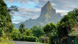 Mo'orea by the Ring Road: A Weekend Drive Through Polynesian Paradise