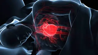 AI Analysis of Sleep ECGs Predicts 10-Year Heart Failure Risk
