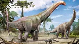 Giant Brazilian sauropod fossil reveals 120-million-year Europe–South America link
