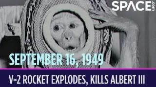 Albert III’s 1949 V-2 Flight: A Tragic Step in Early Space Biology