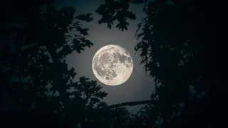 Weekend Blue Moon Lights Up Dusk Sky
