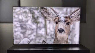 LG G6 OLED TV and C6 OLEDs surface on Amazon UK with surprisingly low launch prices