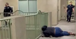 LAPD fatally shoots Knicks-shirted dog during unrelated Canoga Park call