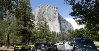Yosemite delays rabies warning after bat tests positive, sparking public-safety questions