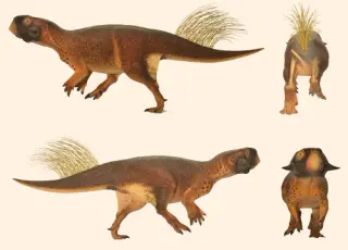 Deep-Drilled 115-Million-Year-Old Dinosaur Fossil Expands Bayan Gobi Range