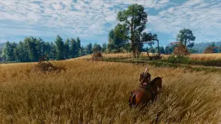 Witcher 3 Remastered on Switch 2: 720p handheld, 1080p docked, with mouse support and mods