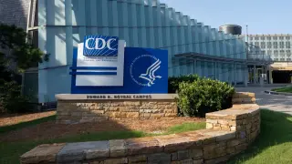 Salmonella Outbreaks Linked to Eggs and Jalapeños Sickened 443 Across 30 States