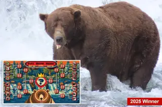 Fat Bear Week returns: meet the contenders and cast your vote