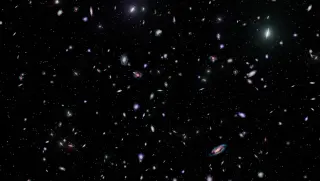 JWST Reveals Black Holes Ahead of Some Early Galaxies
