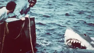 From Mundus to Jersey: The Real-World Sparks Behind Jaws