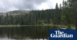 Hostage ordeal ends with safe release of two USFS workers in Northern California
