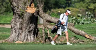 Judge Ana Reyes Signals Extension of Tree-Cutting Ban Amid Trump’s Golf Course Renovation Push