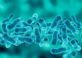 Manhattan Legionnaires' outbreak grows; investigators point to cooling tower as likely source