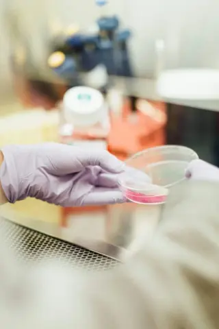 New Life After Death: Cells Reorganize into Xenobots and Anthrobots