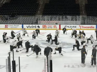 Tortorella Bets on Instant Chemistry With Bold VGK Line Shuffle
