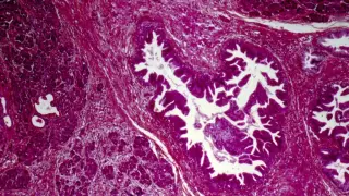 Lilly China deals, Akeso bispecific advance, ASCO updates reshape biotech