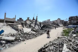 Venice4Palestine Coalition Demands Concrete Action and Flag Display at 2026 Film Festival