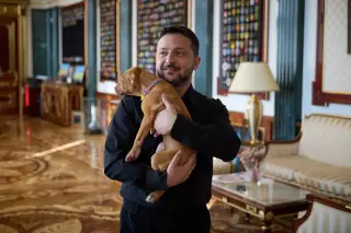 Zelensky Cuddles Freyja the Puppy Amid Ukraine War