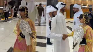 Uncle’s gift sparks record bid as pure-white falcon sells for Rs 3.85 crore in Abu Dhabi