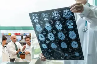 Dietary tweak slows growth of deadly glioblastoma in mice, early study suggests