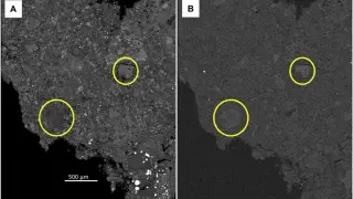 New Jersey Meteorite Uncovers Ancient Water Clues Behind Life’s Ingredients