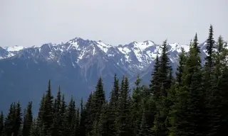DNA solves decades-old Olympic National Park mystery