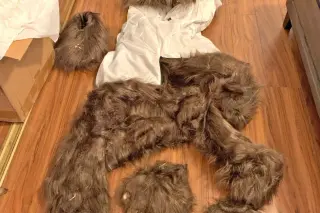 Three sentenced in bear-costume scheme targeting luxury-car insurance worth $142K
