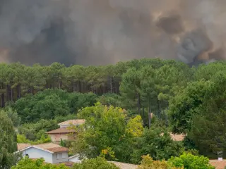 Thousands Evacuated as Wildfires Rage Near Bordeaux Region