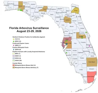 Florida dengue cases surge: 32 new locally acquired infections push yearly total to 73