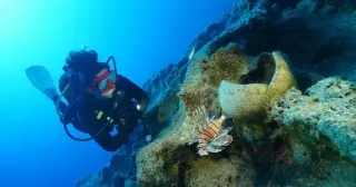 Kekova Shipwreck Dated to 4,700 Years Ago Challenges Previous Records