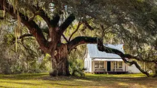 Gullah Geechee Corridor Marks 20 Years of Heritage Preservation Amid Climate Threats