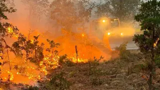 Oregon's 2026 wildfire season edges toward the state burn record
