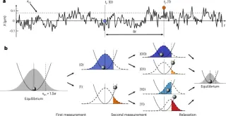 Physicists Harvest Work from Environmental Memory in Non-Markovian Systems