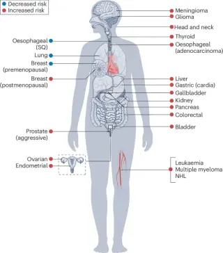 Fat and cancer: decoding mechanisms and a path to prevention