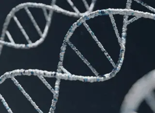 Oxford Pond Protist Rewrites Genetic Stop Signals, Challenging Evolutionary Assumptions
