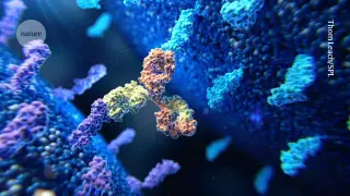 Two-target antibodies sharpen cancer attack, enabling even more complex multispecific therapies