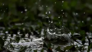Rain won’t smell like rain—it’s geosmin: the scent that signals water